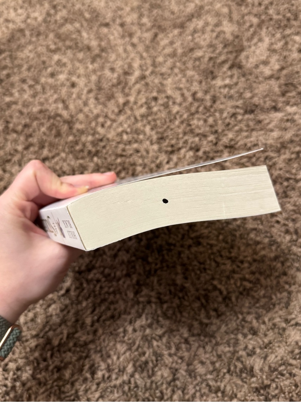 Barnes & Noble White Hardcover — The Stolen Heir by Holly Black - Picture 4 of 5